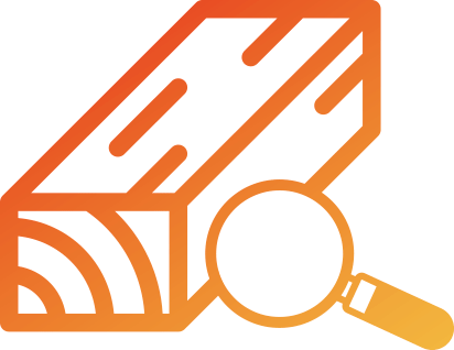 patologías de la madera