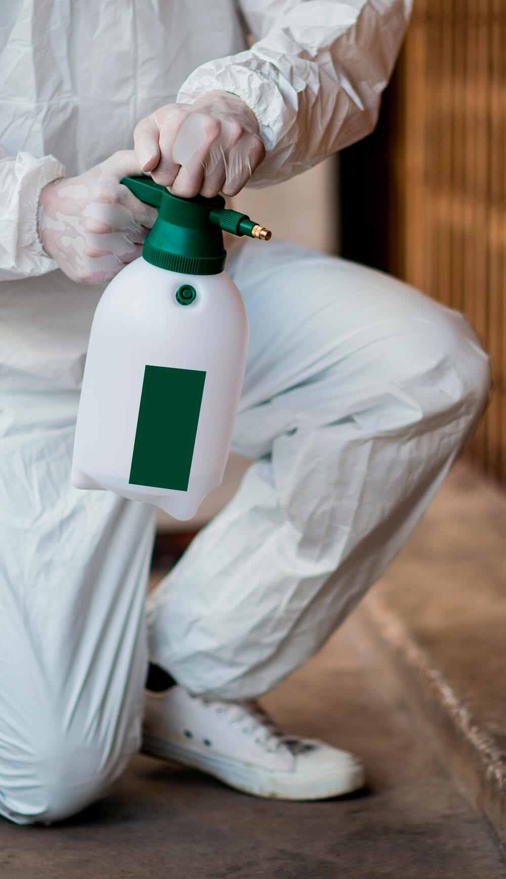 patologías de la madera