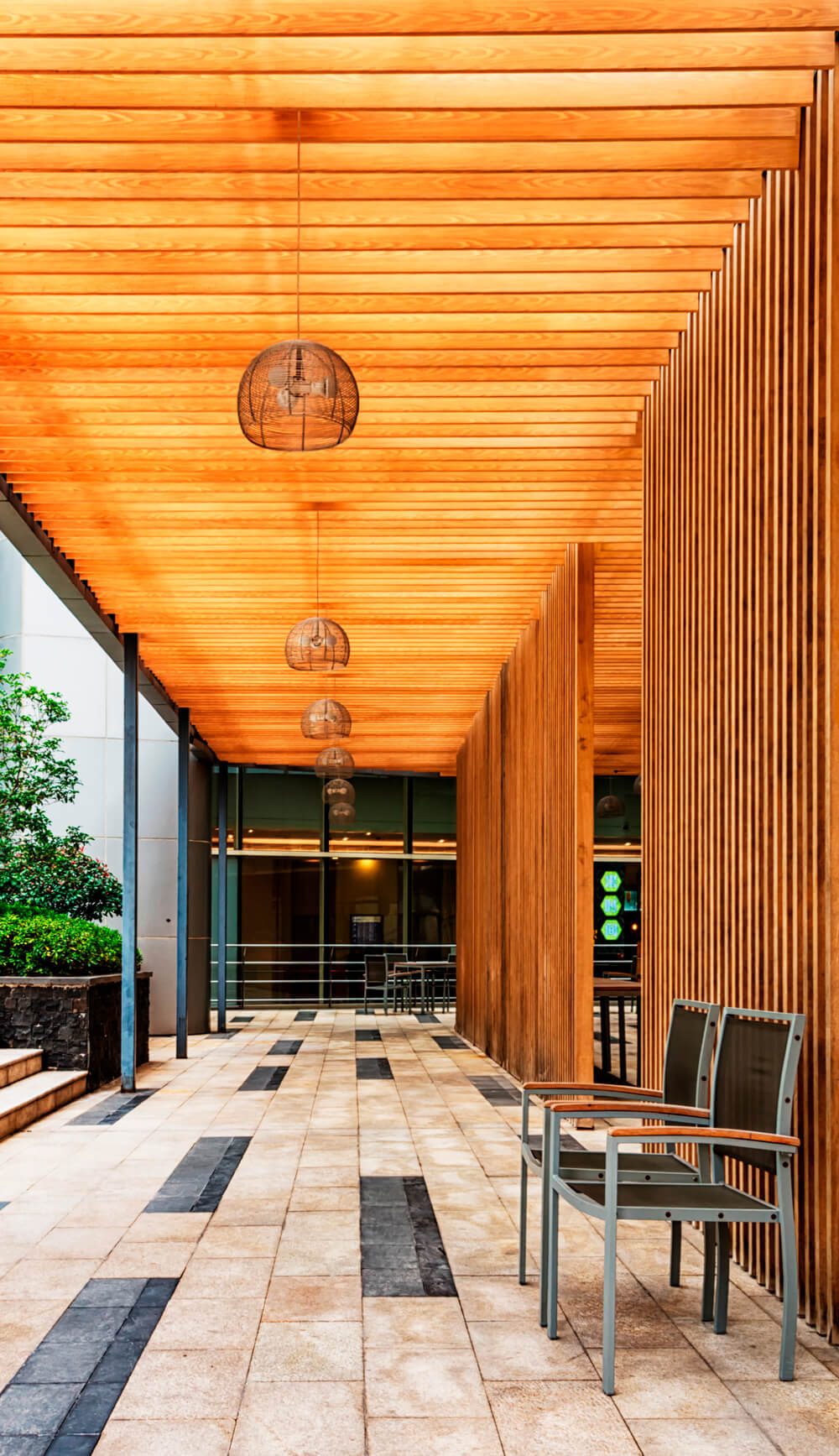 patologías de la madera