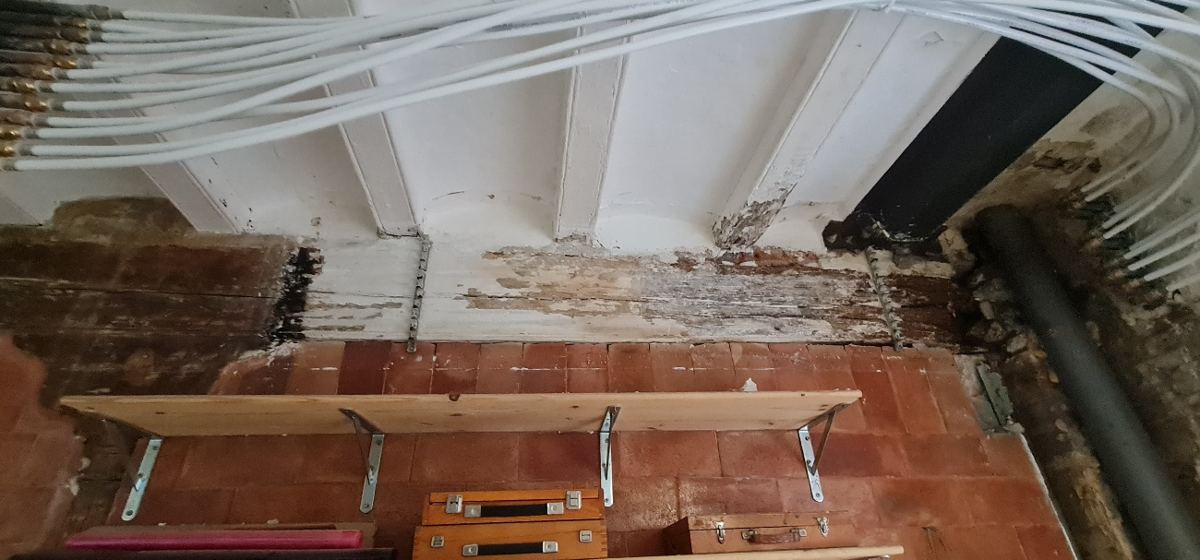 Inspección de la cabeza de la jácena dañada por hongo de pudrición
